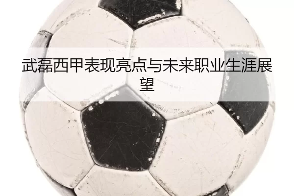 武磊西甲表现亮点与未来职业生涯展望